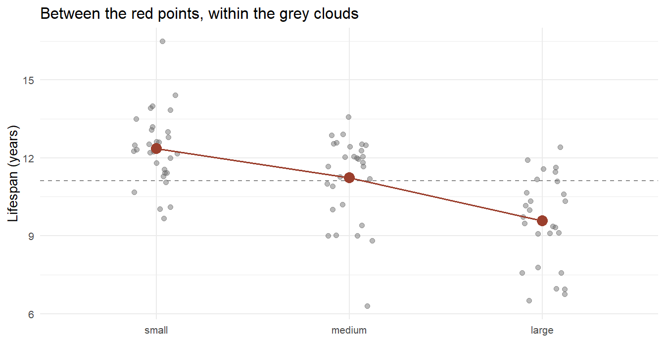 Lifespan of 87 breeds by size category. Red points mark the group means; the dashed line is the grand mean. ANOVA measures whether the red points' spread is large relative to the grey points' spread.